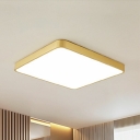 Modern Minimalist Metal Flush Mount Light for Hallway Corridor and Bedroom