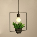 Square Pendant Lighting Fixtures Black Industrial-Style Plants Commercial Hanging Lighting for Dinning Room