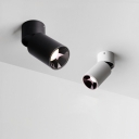 Minimalism Cylinder Flush Mount Ceiling Light Fixtures Aluminum Flush Mount Lamp