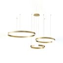 3-Light Chandelier Lamp Modern Style Circle Shape Metal Suspended Lighting Fixture