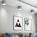 Macaron Drum Close to Ceiling Lighting Modern Living Room Flush Mount Ceiling Fixture