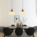 Pendant Light Kit Modern Style Glass Hanging Ceiling Light for Living Room