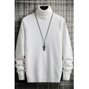 Guys Basic Sweater Pure Color Ribbed Trim Turtle Collar Fitted Pullover Sweater