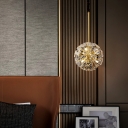 Hanging Light Kit Globe Shade Modern Style Crystal Ceiling Pendant Light for Living Room