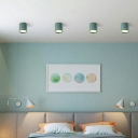 Drum 1 Light Led Flush Mount Ceiling Fixture Contemporary Macaron Close to Ceiling Lamp for Bedroom