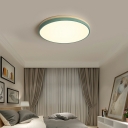 Green and Gray Flush Mount Light Fixtures Metal Modern Close to Ceiling Lamp for Living Room
