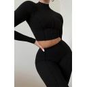 Chic Ladies Co-ords Pure Color Mock Neck Long Sleeve Cropped Top with High Waist Pants Co-ords