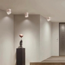 Minimalism Semi Flush Mount Ceiling Light Modern Ceiling Light Fixtures for Dinning Room