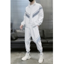 Cool Boy's Co-ords Stripe Print Long Sleeve Stand Collar Zipper Hoodie & Regular Pants Set