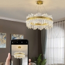 1-Light Chandelier Light Fixtures Contemporary Style Ring Shape Metal Ceiling Pendant Lights