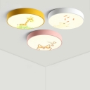 Modern Minimalist Macaron Ceiling Light Acrylic Nordic Style  Flushmount Light