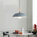 Nordic Postmodern Style Simple Single Chandelier Macaron Style Pendant Light for Living Room