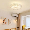 French Style Modern Ceiling Lamp  Antique Glass Ceiling Light for Living Room