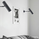 Modern Style  Wall Light Iron Wall Sconces for Living Room