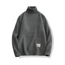 Elegant Sweater Plain High Collar Ribbed Trim Sweater for Men