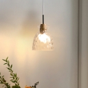 Vintage Pendant Lighting Single Head with Clear Glass Shade Down Lighting