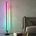 Standard Lamps Modern Style Acrylic Floor Lamps for Living Room