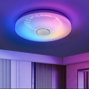 Modern Flush Mount Ceiling Light Fixtures LED Smart Ceiling Flush Mount Lights for Living Room