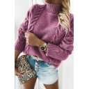 Fashionable Sweater Pure Color Long Sleeve High Collar Regular Fit Sweater for Girls
