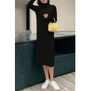 Simple Womens Dress Solid Color Relaxed Long-sleeved High Neck Midi Knit Dress