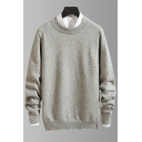 Daily Guy's Sweater Solid Color Long Sleeve Round Neck Regular Knit Pullover Sweater