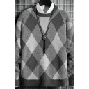 Daily Guys Sweater Checked Pattern Long-sleeved Crew Collar Fitted Pullover Sweater