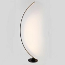 Modern Minimalist LED Floor Lamp Creative Curved Line Floor Lamp for Bedroom