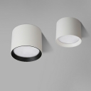 Minimalism Ceiling Mount Light Fixture Cylindrical for Living Room
