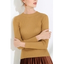Stylish Women Whole Colored Regular Long Sleeves Crew Collar Knitted Top