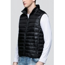 Leisure Pure Color Stand Collar Pocket Decoration Regular Fitted Zip Down Vest for Guys