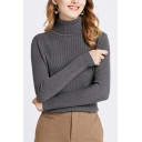 Girlish Solid Color High Neck Long Sleeves Slim Fitted Crop Knitted Top for Girls