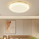 Contemporary Flush Mount Ceiling Light Fixtures Drum for Kid's Room