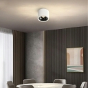 Modern Simple Shape 1 Light Metal Flush Ceiling Light Fixtures for Living Room
