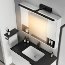 Modern Black Vanity Light with Clear Acrylic Shade and LED Bulbs