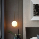 Clear Glass Globe Pendant Light with Adjustable Hanging Length and Modern Style
