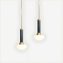 Modern White Pendant Light with Clear Glass Shade and Adjustable Hanging Length