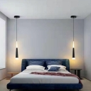 Modern Metal Pendant Light with Adjustable Hanging Length in Sleek Design for Contemporary Homes
