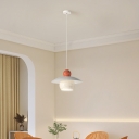 Modern Metal Pendant Light with Adjustable Hanging Length and LED Bulb Included