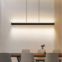 Versatile Hanging Length Strip Lucite Light Fixture Over Kitchen Table Adapted for Led Light Fixture in a Modish Style, Direct Connection