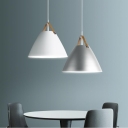 Modern Iron Enclosure Cone Shaped Thread Pendant Lamp Adapted for Led & Incandescent/ Fluorescent for Indoor