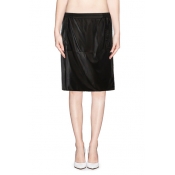 Elastic Waist Paneled Stretchy Bodycon Skirt with Zip Back