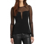 Sheer-Paneled Round Neck Long Sleeve Top with Lace Insert