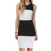Color Block Sleeveless Bodycon Dress with Zip Back