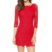 Attractive Zip Back Skinny Lace Dress with 3/4 Length Long Sleeve