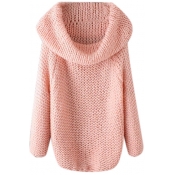 Turtleneck Raglan Sleeve Plain Pullover Sweater
