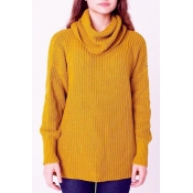 Chunky Knit Turtleneck Long Sleeve Plain Sweater