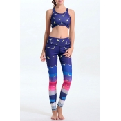 Women's Print Tight-Fitting Scoop Neck Crop Top with Colorful Stretchy Yoga Leggings Co-ords