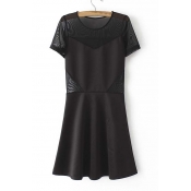 Round Neck Short Sleeve Tulle Sheer A-Line Mini Dress