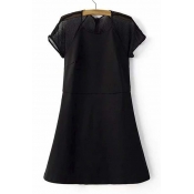 Scoop Neck Short Sleeve Sheer A-Line Chic Dress