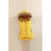 Women's Winter Fur Hooded Zip Placket Vest with Pockets